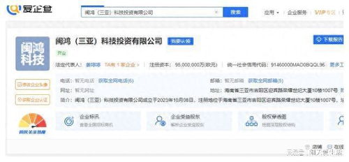 海南三亞出現4家空前巨額投資公司,注冊資本都是9500億歐元